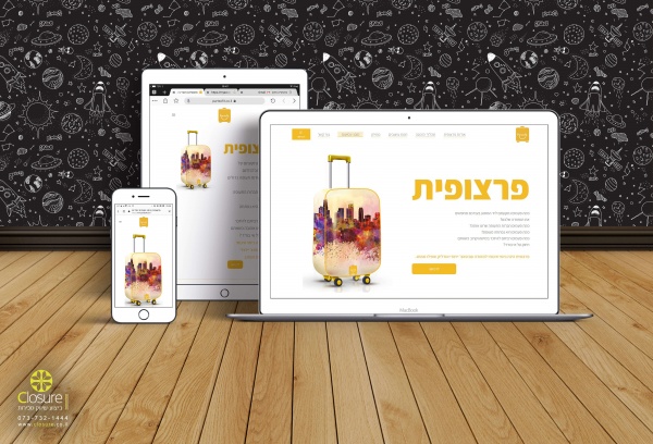 פיתוח ועיצוב אתר תדמית